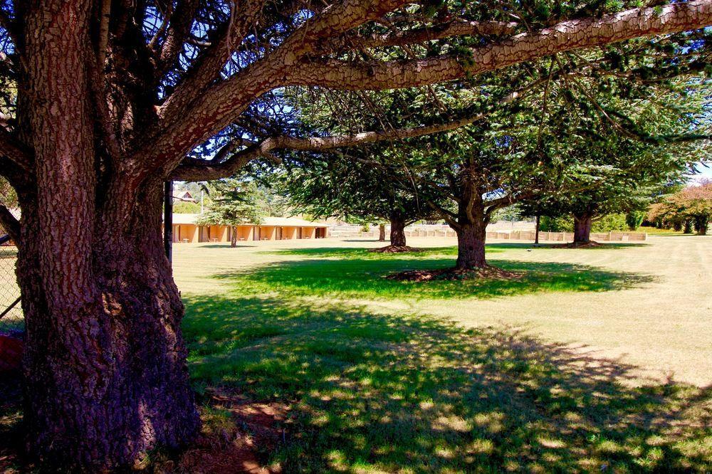 Snowy Mountains Resort and Function Centre Adaminaby Extérieur photo